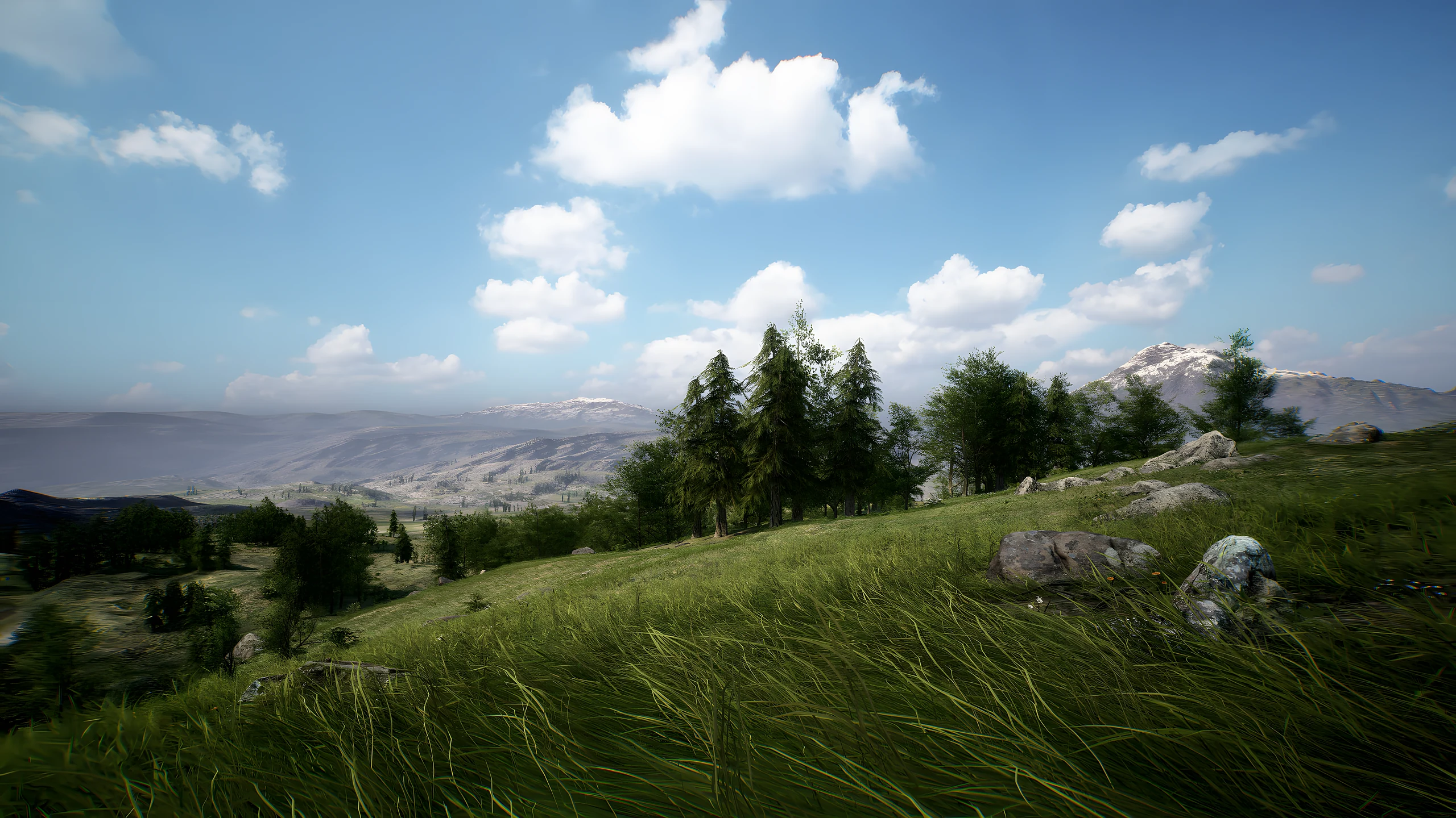 A forested hillside in soft light, built with Brushify in Unreal Engine